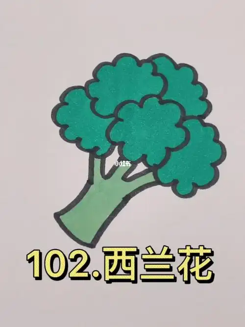 教小朋友999种简笔画102西兰花06