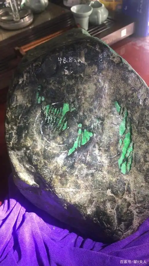 会卡蜡壳.青蛙皮