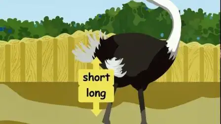 3-9朗诵  p28课本 lets learn《small-big;short-long》鸵鸟小脑袋短