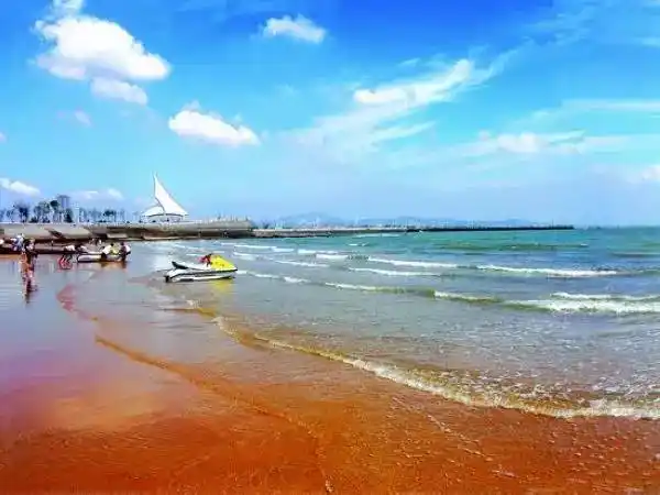 17大类,224个地方!你们要找的所有关于青岛"玩"的问题都在这了!