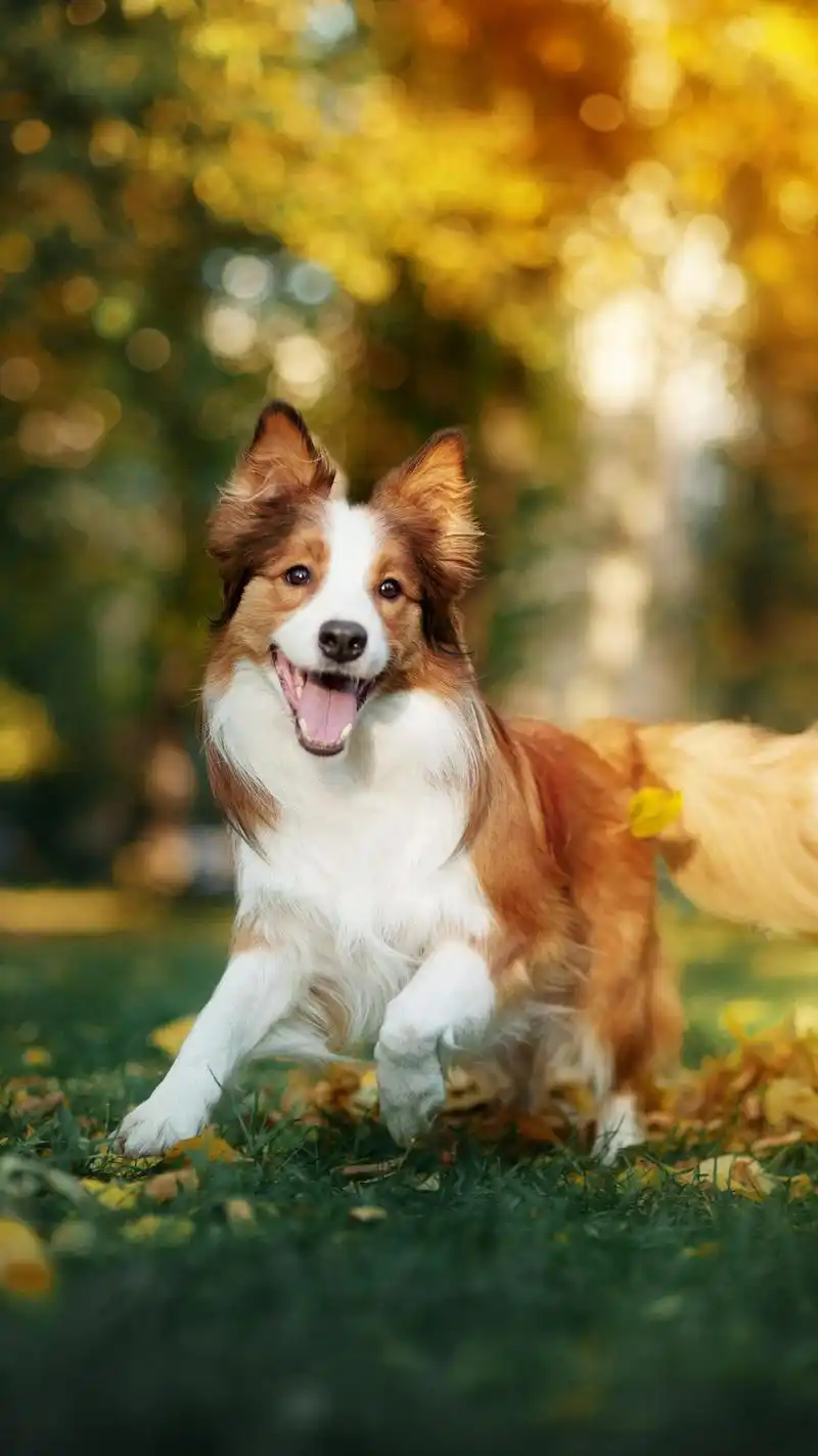 细节危险无偶然