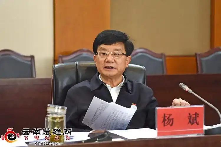 杨斌:为推动现代化楚雄行动提供坚强审计保障