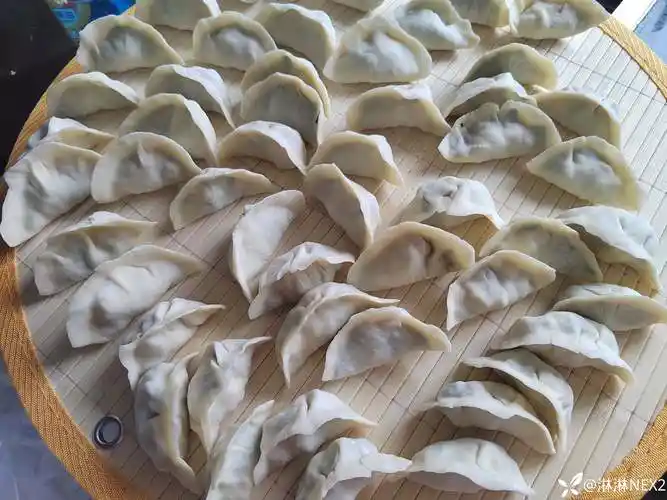 韭菜鸡蛋馅饺子有爱吃的吗