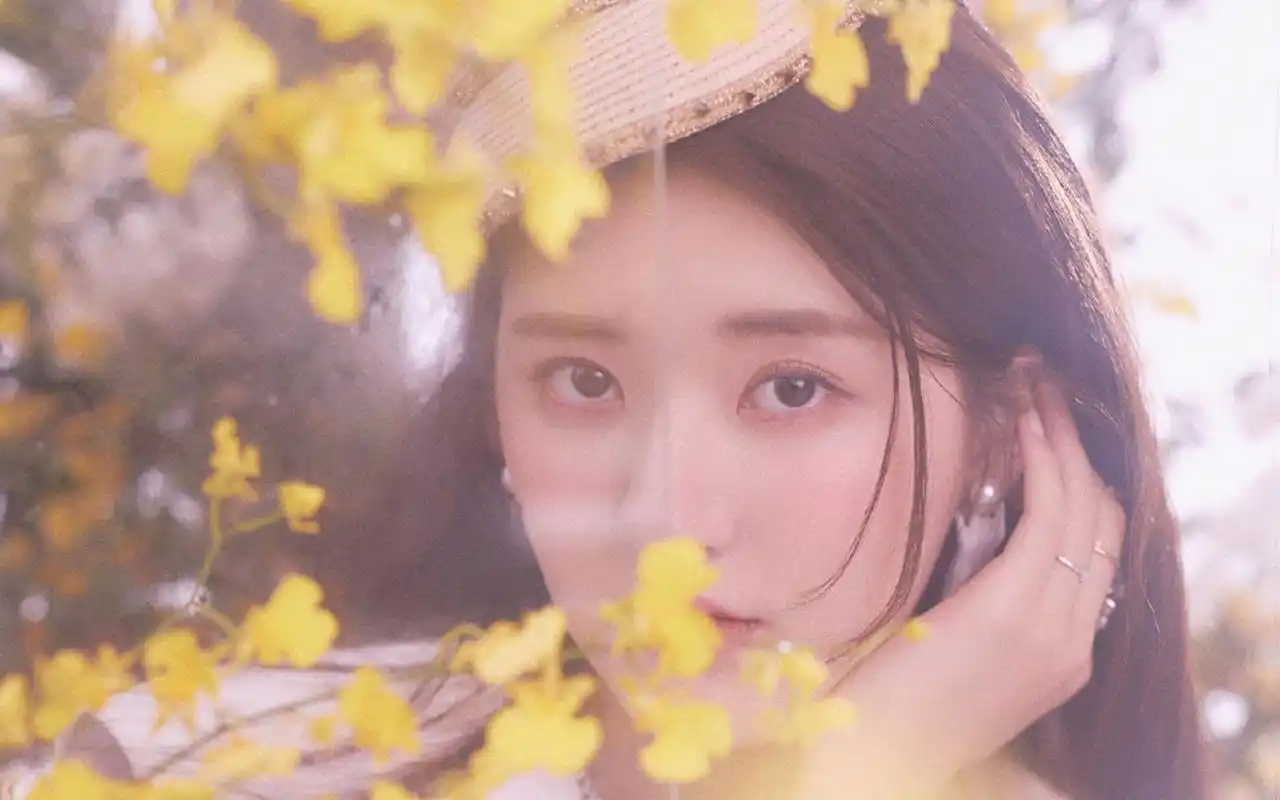 赵露思优雅迷人写真桌面壁纸高清大图预览1920x1200_大陆明星下载_美