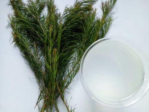 澳洲茶树纯露250ml控油抑痘