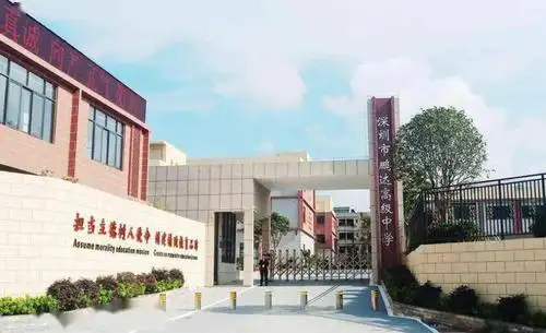 深晚报道龙岗再添一所优质高中鹏达高级中学9月开学提供近500个学位