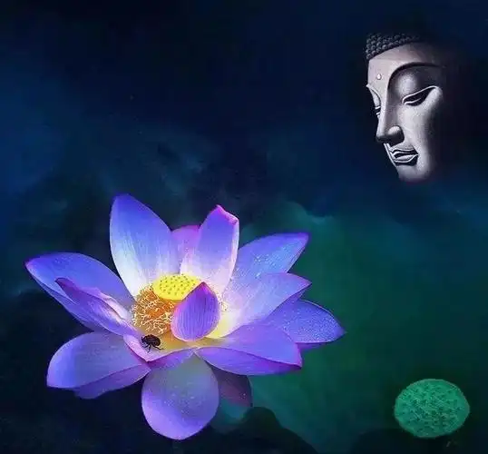 佛前一朵莲!(四)