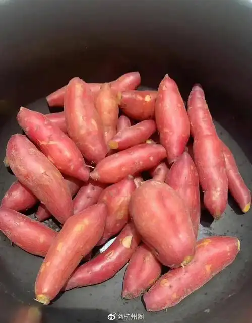 怎么煮的红薯更好吃0792