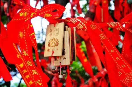 观音广场前方路旁两边许愿树上挂满了祈福吉祥物,小木牌写满了人们