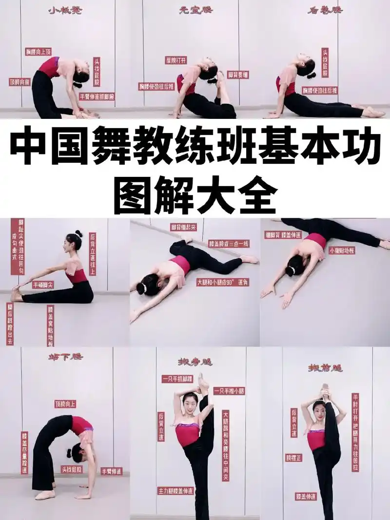 舞蹈基本功教学零基础 - 抖音