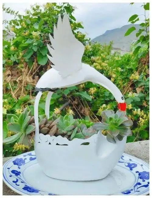 洗衣液桶剪"两刀",用来养花一级棒,后悔扔了那么多_花盆_酒瓶子_造型