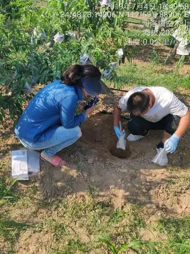 在基地现场收集土壤样品.土壤采样层次为0cm-40cm.