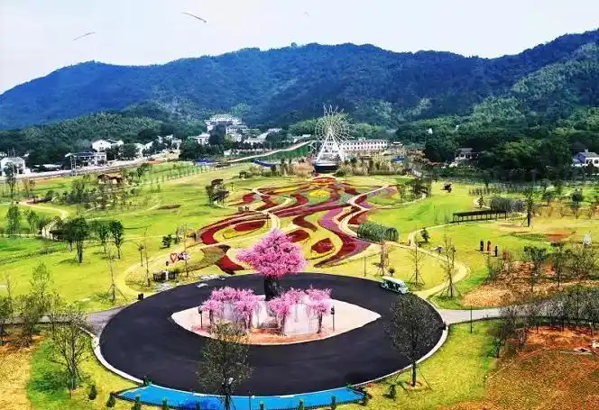 28日,无人机空中俯瞰石首市桃花山脚下新建的七彩花田风景区,一只用