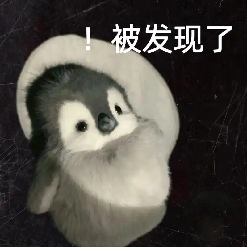 小企鹅表情包.哇!太可爱了吧099900 求求更多小企鹅!#阔 - 抖音