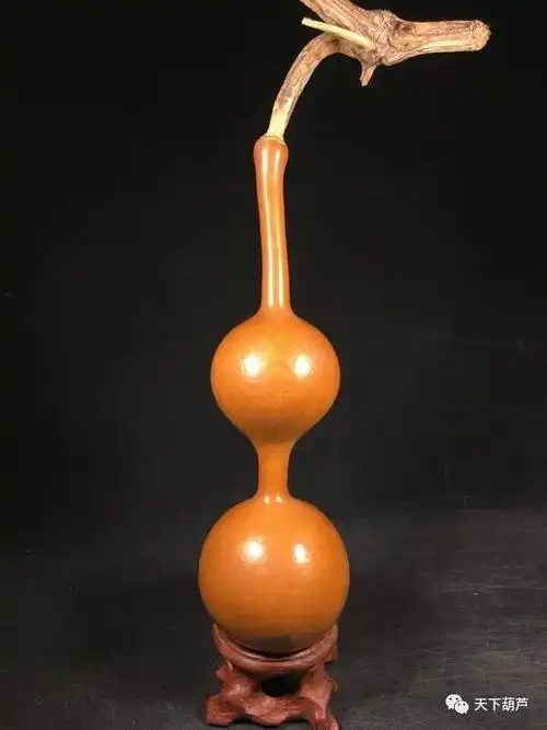 组图各式各样的葫芦集锦