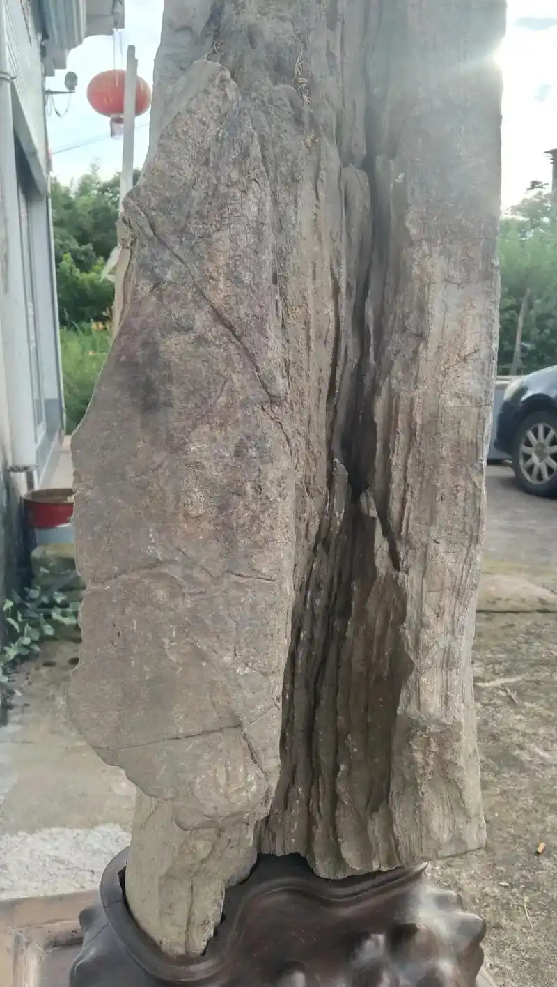 一块二亿五千万年的,树化玉!, - 抖音