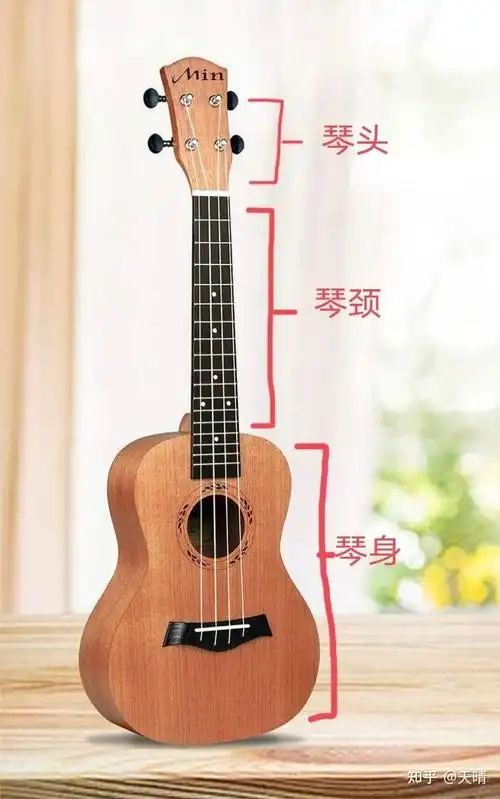 1,认识尤克里里的构造