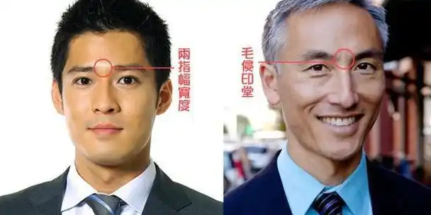 男人面相图解大全解庭饱满为官做宦地阁方圆富贵双全-卜安居