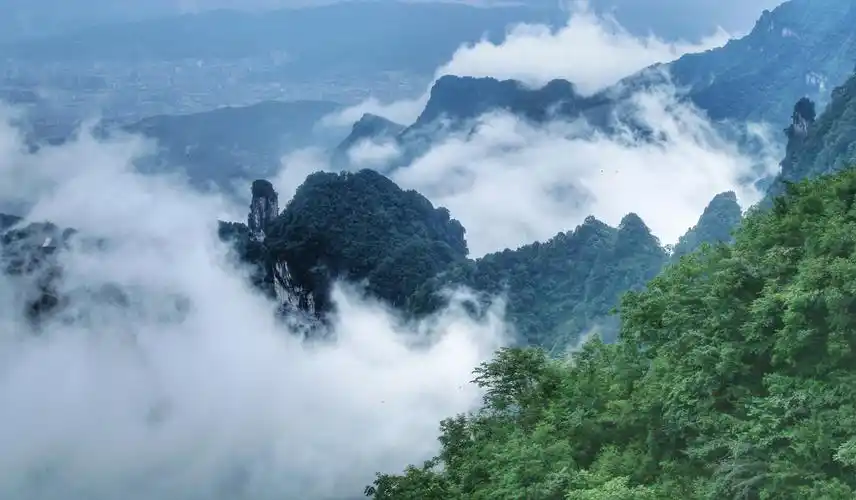 "名山高耸入云端, 奇峰异石迷人眼"——张家界天门山观云海