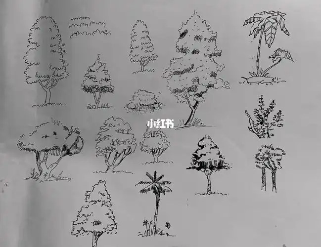 钢笔画各种树的表现手法