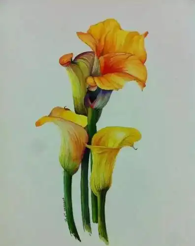 水彩画入门水彩花花干画法