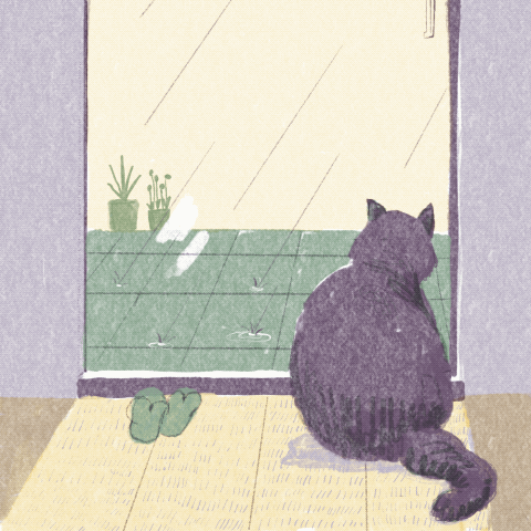 01,像猫一样,拥抱孤独,自由自我