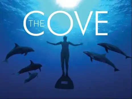 2009年播出的纪录片《海豚湾》中,记录了日本太地町渔民大量捕杀海豚