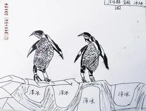 站在浮冰上的企鹅简笔画