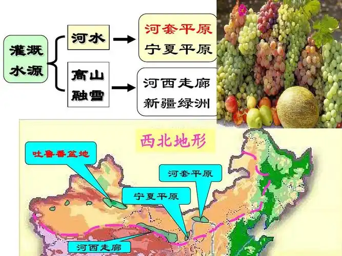 荒漠化的危害和治理ppt 灌 溉水 源河水 高  山雪融 河 平套原 夏平原