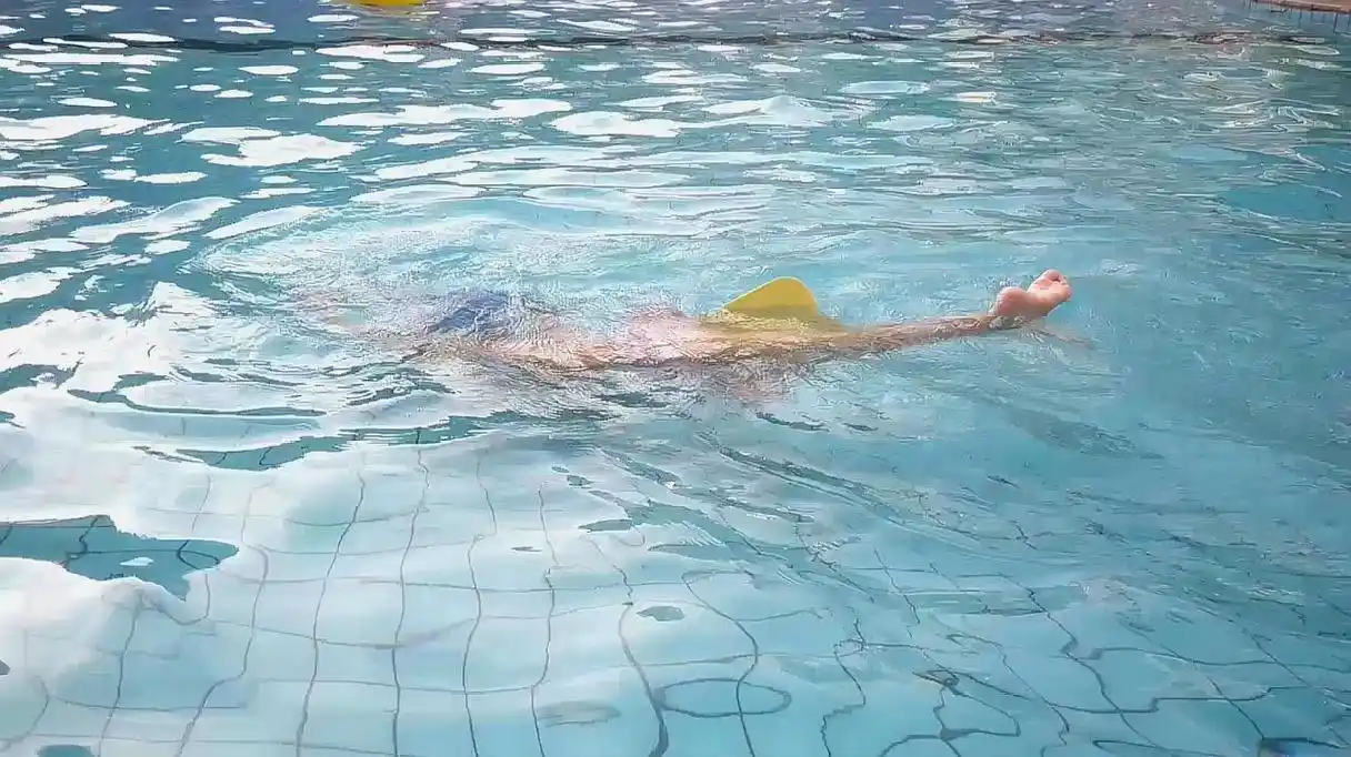 游泳入门(游泳入门教程)