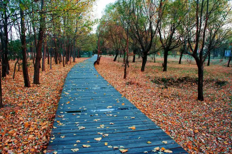 霜降处处割愁肠