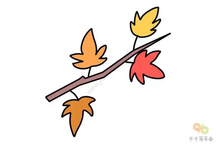 枫树简笔画教程