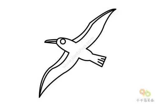 信天翁的简笔画怎么画
