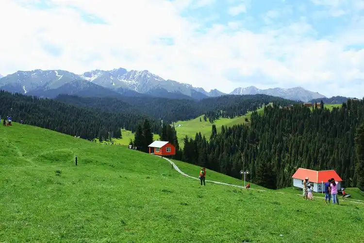 新疆江布拉克草原风景图片新疆草原江布拉克草原