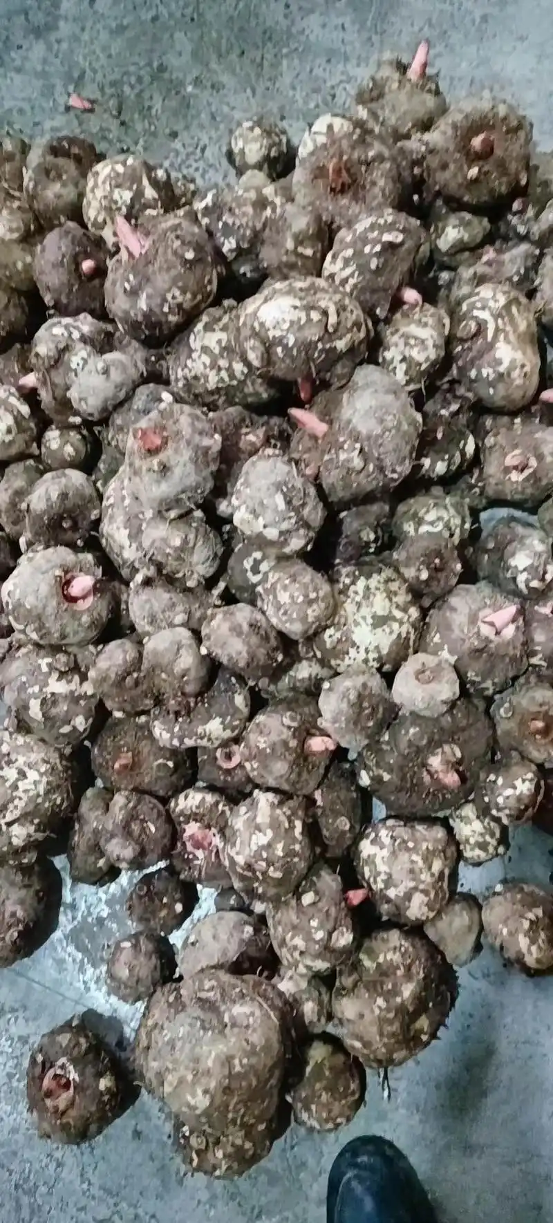 恩施富硒纯手工制作魔芋豆腐.