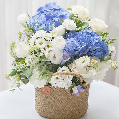 鲜花 同城配送白玫瑰蓝绣球混搭手提花篮生日礼物拜访探望送妈妈