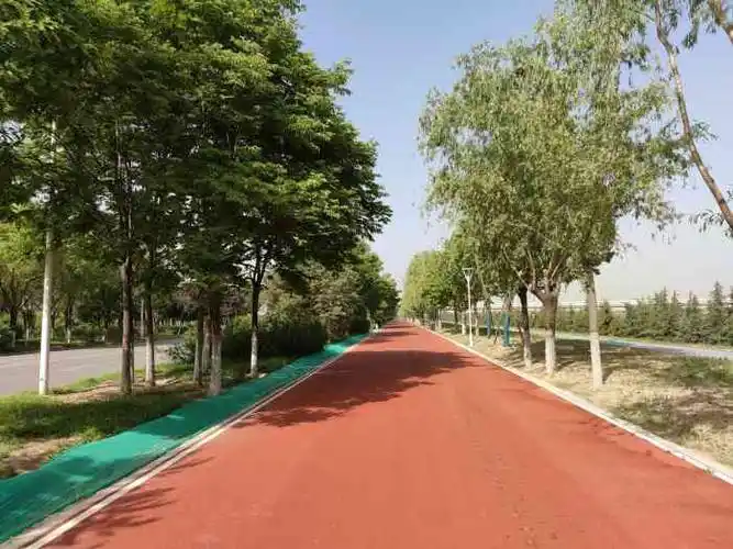 西安渭河城市绿地运动公园-"之前去的 跟小闺蜜 为了看银杏叶 自驾去.