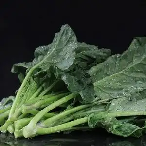 潮汕新鲜芥蓝菜农家芥兰菜 芥蓝菜心小芥兰广东蔬菜500g