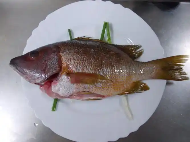 中国最顶级的8种鱼,吃过3种以上的要么是渔民,要么是土豪!