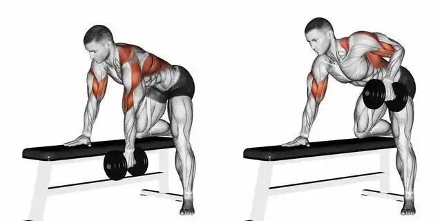 背部训练没感觉试试这六个动作扩大你的背阔肌