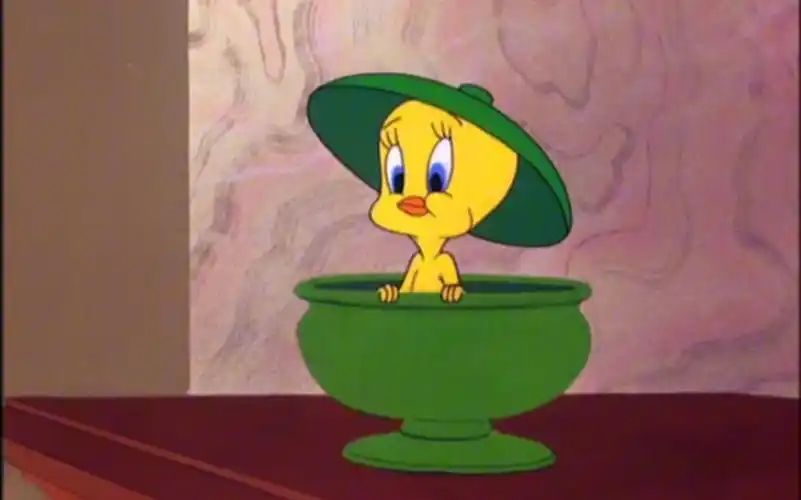 华纳动画崔弟和傻大猫小鸟和旅馆 room and bird.1951.原版标题卡结尾