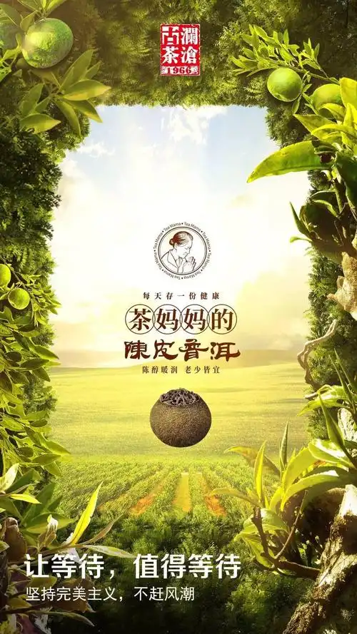 邀请函丨2017年茶妈妈的陈皮普洱上市发布会