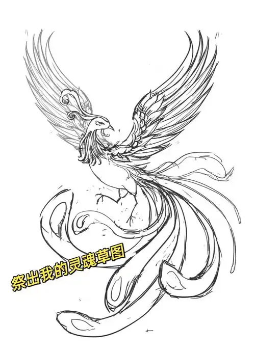 国风凤凰上色教程:从草图到完成✨