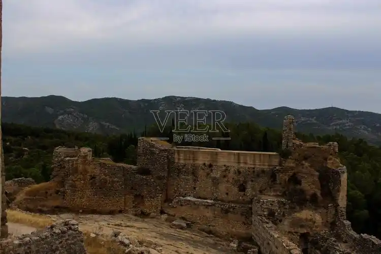 城堡的围墙在森林的废墟中