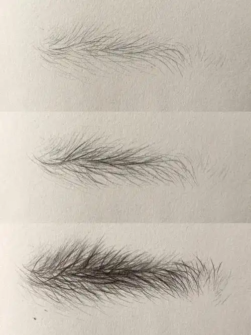 野生眉分解步骤