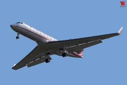 土耳其:土耳其这次派出了两架专机,一架湾流g550,一架a330-200,另外