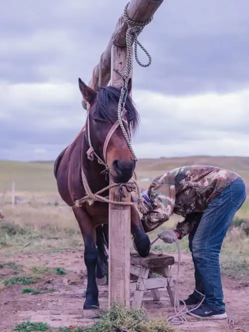 钉马掌的老手艺人
