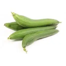 organic sponge gourd