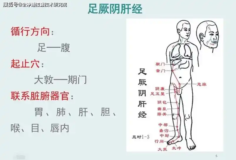 足厥阴肝经~春天情绪的按钮.#足厥阴肝经 最近很多阳过后遗症 - 抖音