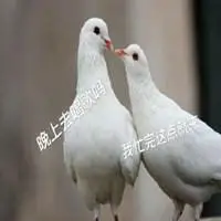 被放鸽子的表情图片_微信头像图片大全